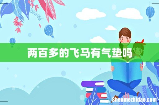 两百多的飞马有气垫吗
