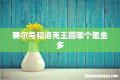 赛尔号和洛克王国哪个氪金多