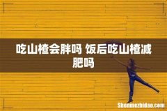 吃山楂会胖吗 饭后吃山楂减肥吗