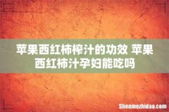 苹果西红柿榨汁的功效 苹果西红柿汁孕妇能吃吗