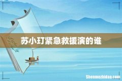 苏小玎紧急救援演的谁