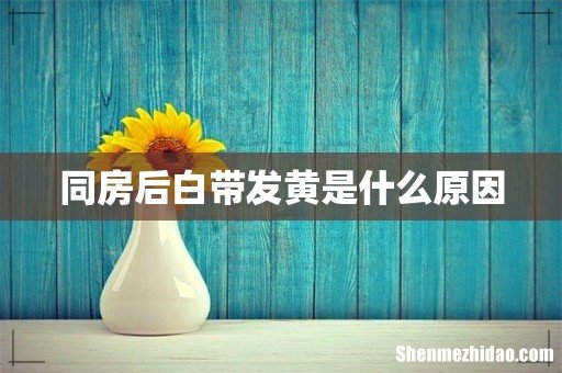 同房后白带发黄是什么原因