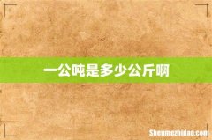 一公吨是多少公斤啊