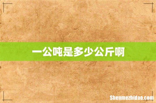 一公吨是多少公斤啊