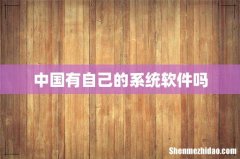 中国有自己的系统软件吗
