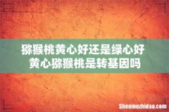 猕猴桃黄心好还是绿心好 黄心猕猴桃是转基因吗
