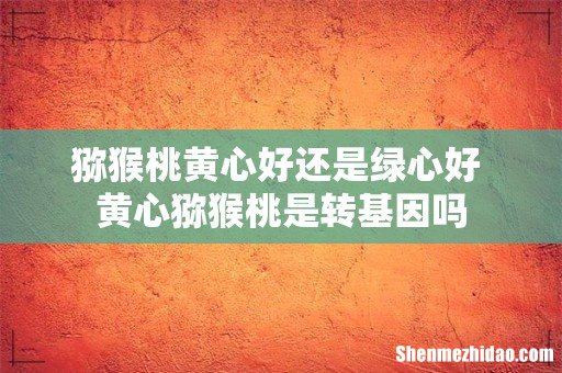 猕猴桃黄心好还是绿心好 黄心猕猴桃是转基因吗