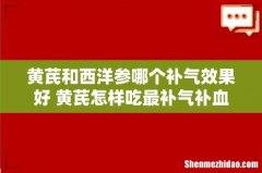 黄芪和西洋参哪个补气效果好 黄芪怎样吃最补气补血