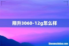 翔升3060-12g怎么样