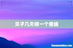贝子几天喂一个蚕蛹