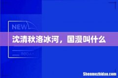 沈清秋洛冰河，国漫叫什么
