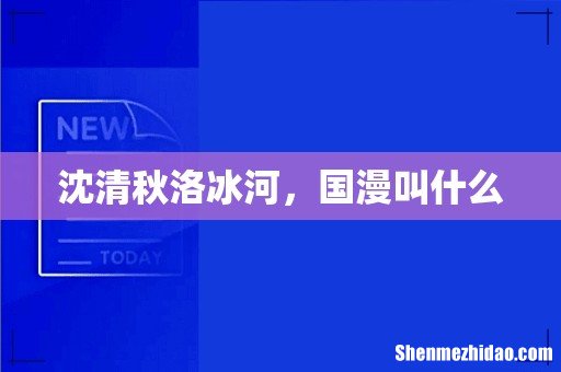 沈清秋洛冰河,国漫叫什么