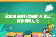 丝瓜里面的籽要去掉吗 丝瓜籽作用和功效