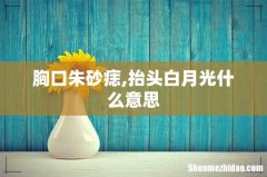 胸口朱砂痣,抬头白月光什么意思