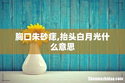 胸口朱砂痣,抬头白月光什么意思