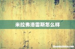 米拉弗洛雷斯怎么样