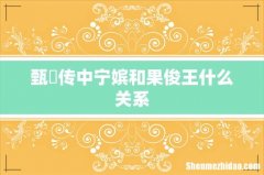 甄嬛传中宁嫔和果俊王什么关系