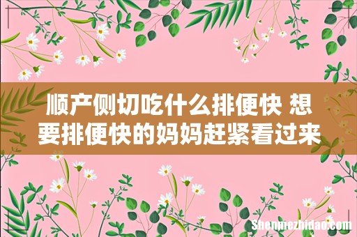 顺产侧切吃什么排便快 想要排便快的妈妈赶紧看过来!
