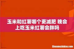 玉米和红薯哪个更减肥 晚会上吃玉米红薯会胖吗