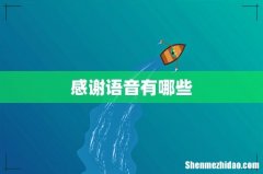 感谢语音有哪些