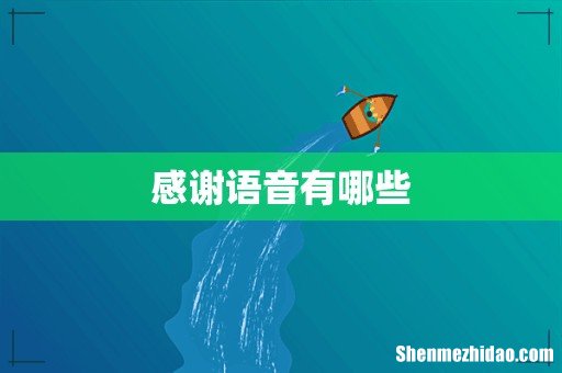 感谢语音有哪些