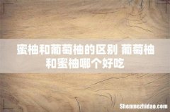 蜜柚和葡萄柚的区别 葡萄柚和蜜柚哪个好吃
