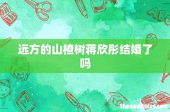远方的山楂树蒋欣彤结婚了吗