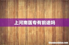 上河南医专有前途吗