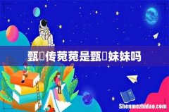 甄嬛传菀菀是甄嬛妹妹吗