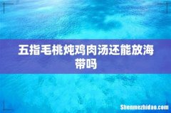 五指毛桃炖鸡肉汤还能放海带吗