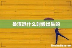 鲁滨逊什么时候出生的