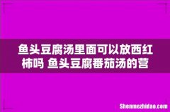 鱼头豆腐汤里面可以放西红柿吗 鱼头豆腐番茄汤的营养价值