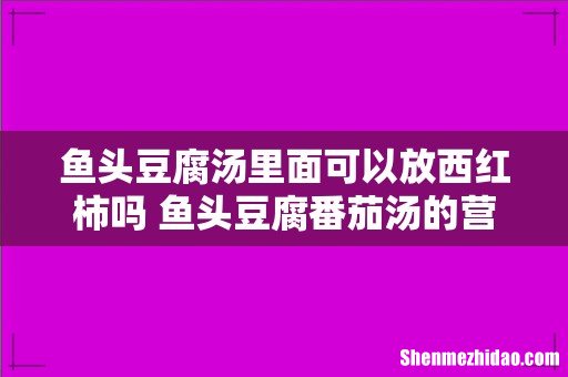 鱼头豆腐汤里面可以放西红柿吗 鱼头豆腐番茄汤的营养价值
