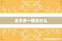主字多一横念什么