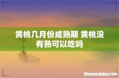 黄桃几月份成熟期 黄桃没有熟可以吃吗