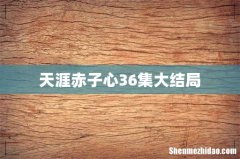 天涯赤子心36集大结局