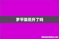 罗平菜花开了吗
