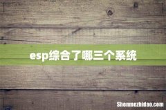 esp综合了哪三个系统