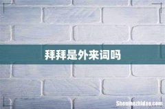 拜拜是外来词吗
