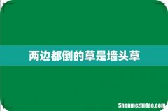 两边都倒的草是墙头草