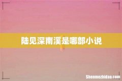 陆见深南溪是哪部小说