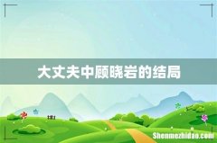 大丈夫中顾晓岩的结局