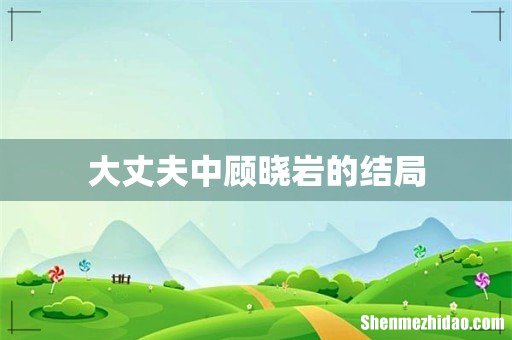 大丈夫中顾晓岩的结局