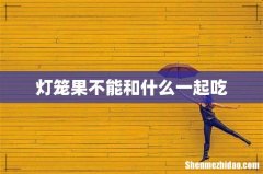 灯笼果不能和什么一起吃