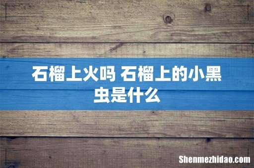 石榴上火吗 石榴上的小黑虫是什么