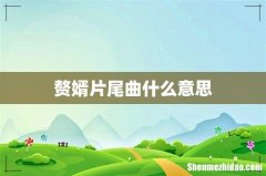 赘婿片尾曲什么意思