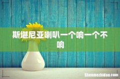 斯堪尼亚喇叭一个响一个不响