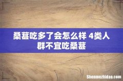 桑葚吃多了会怎么样 4类人群不宜吃桑葚