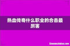 热血传奇什么职业的合击最厉害