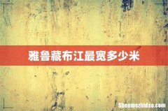 雅鲁藏布江最宽多少米